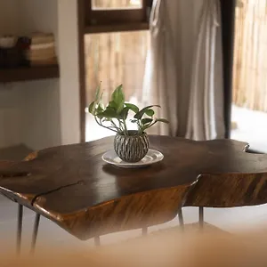 Big Tree Boutique *** קו טאו